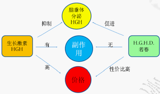 上海寶力醫藥科技有限公司