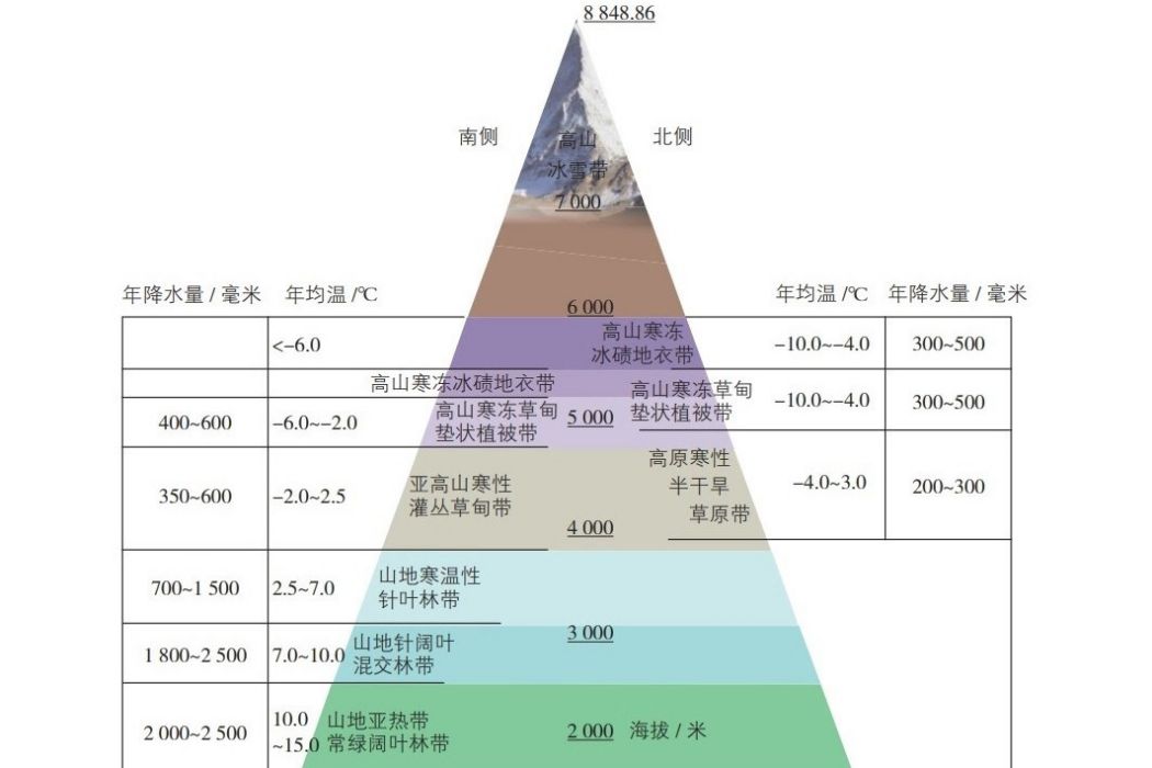 基帶(自然地理學垂直分異規律)