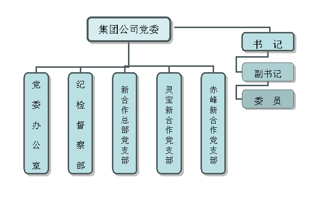 新合作商貿連鎖集團有限公司