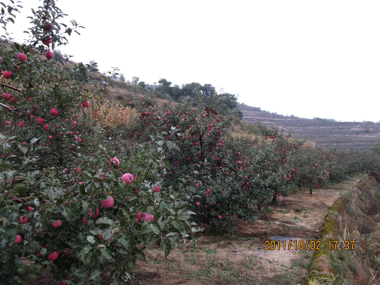 凡梁村