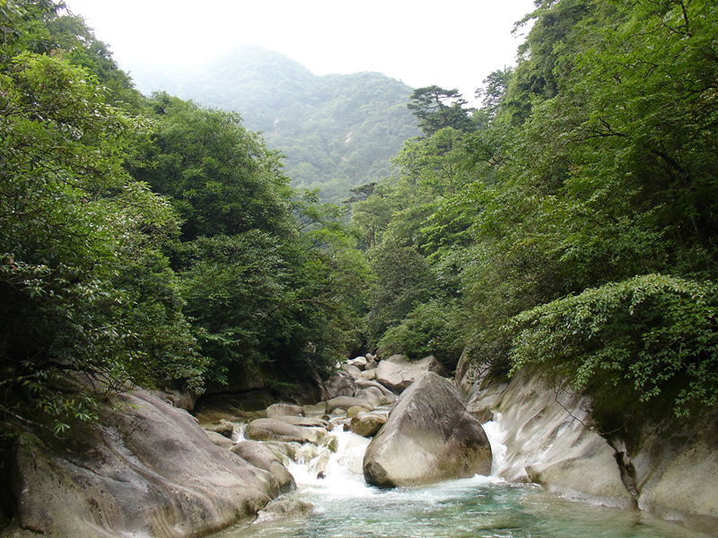 青山綠水