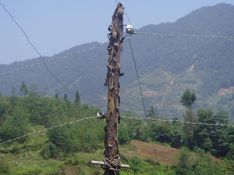 通電線路