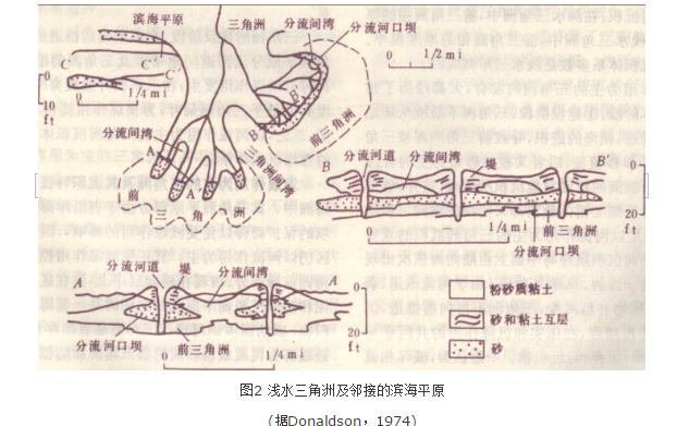 三角洲沉積體系結構