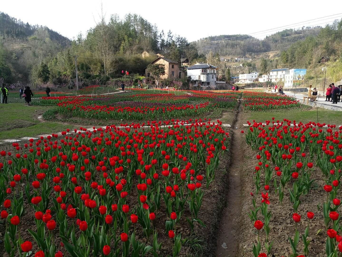 紅岩寺鎮(湖北省建始縣紅岩寺鎮)