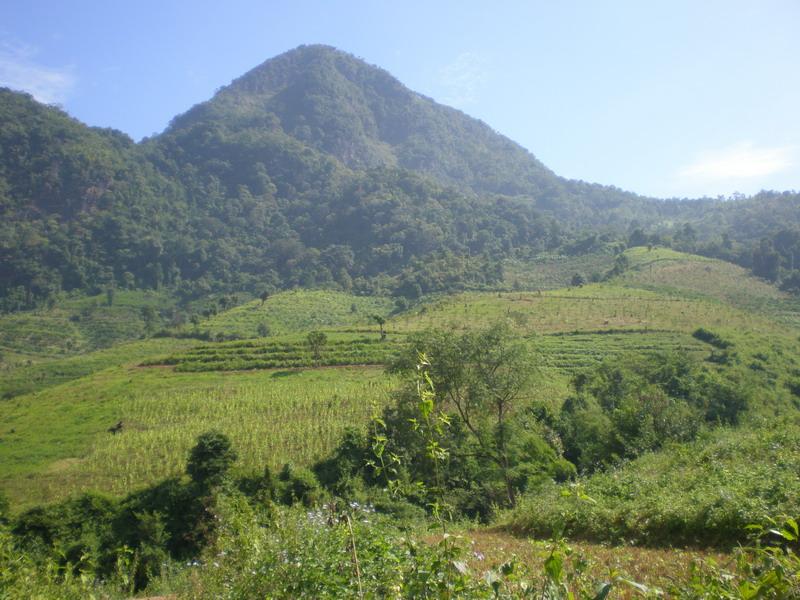 青樹林格自然村