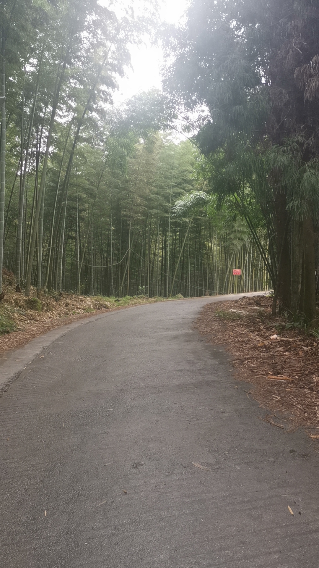 犁頭村(四川省長寧縣雙河鎮下轄村)