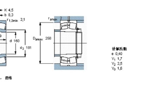 SKF 24132CCK30/W33軸承