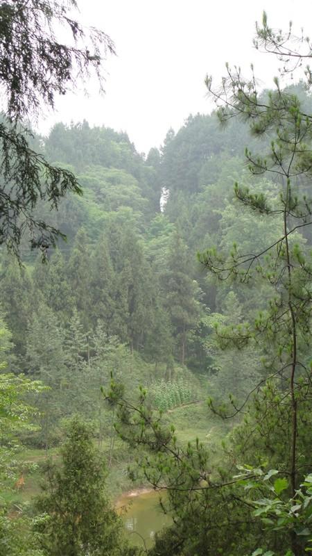 長渠村(四川營山縣三元鄉下轄村)