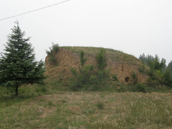 荊山塬