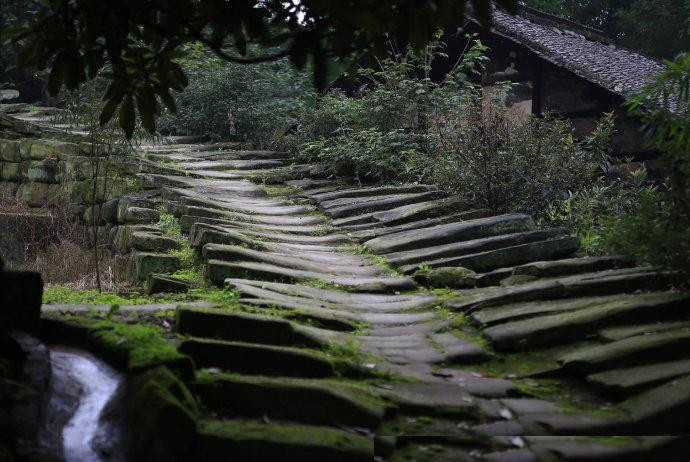 沃洲鎮