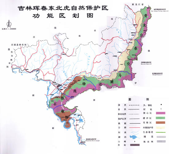 吉林琿春東北虎國家級自然保護區