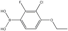 2-氟-3-氯-4-乙氧基苯硼酸