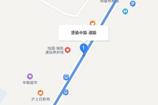 堡鎮中路