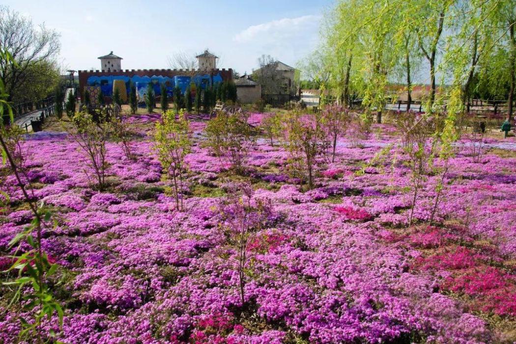 義渠百花園