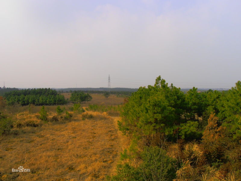 新發村(雲南省曲靖市馬龍縣納章鎮新發村)