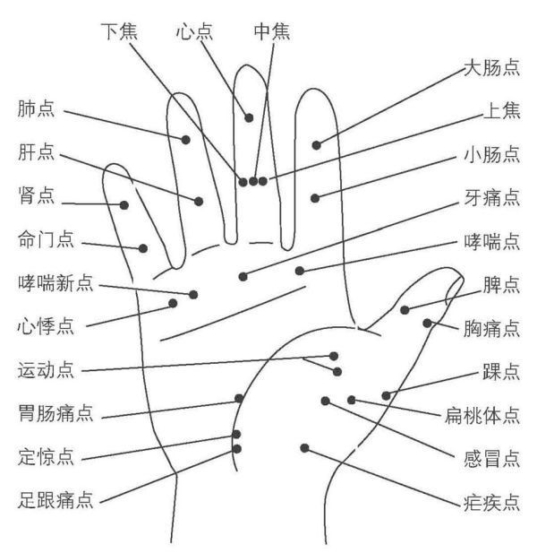 手掌穴點陣圖