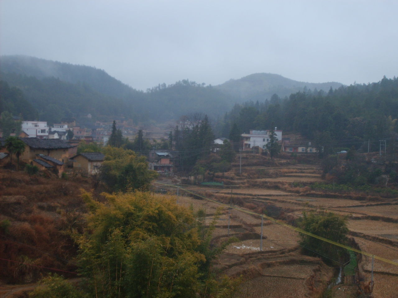 王家溝村(山西省呂梁市興縣惡虎灘鄉下轄村)