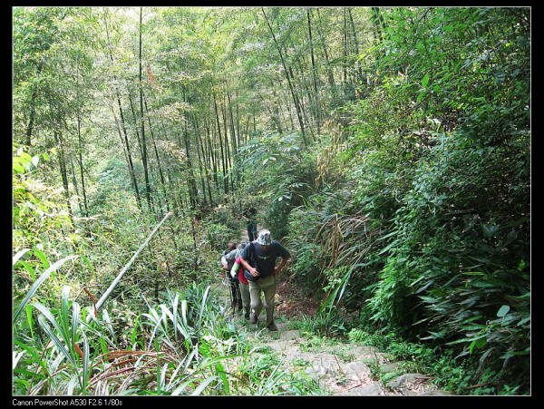 西徑山古道