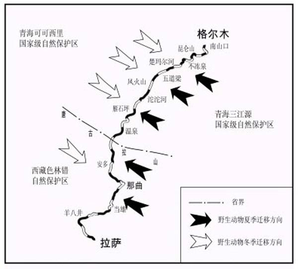 青藏鐵路野生動物通道