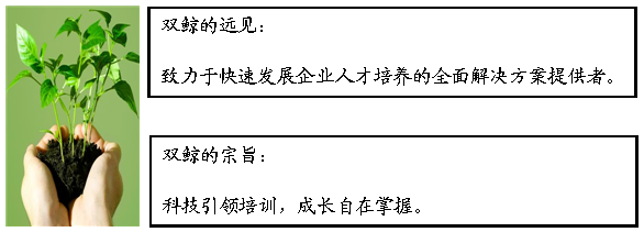 上海雙鯨信息技術有限公司