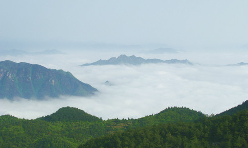 雲海