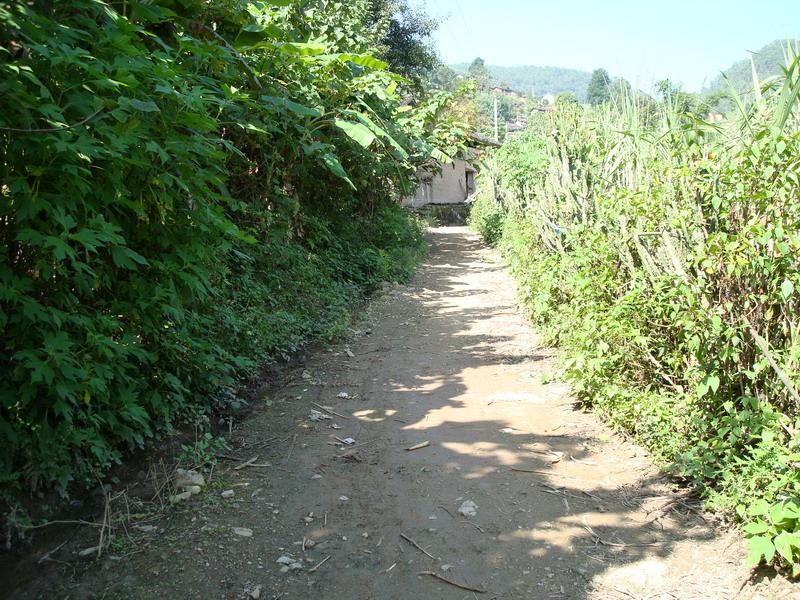 村中道路