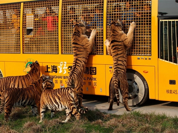 上海野生動物園