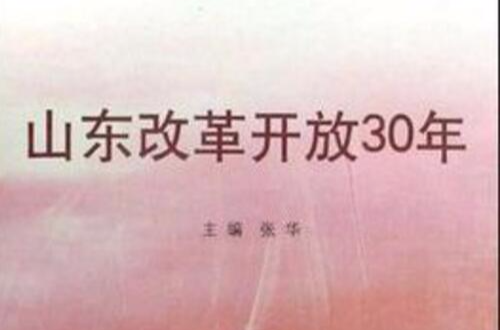 山東改革開放30年