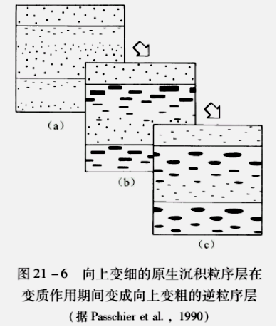 逆向粒序層構造