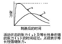 肌肉活動狀態