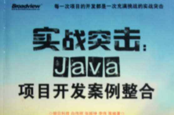 Java項目開發案例整合