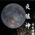 夜狼神