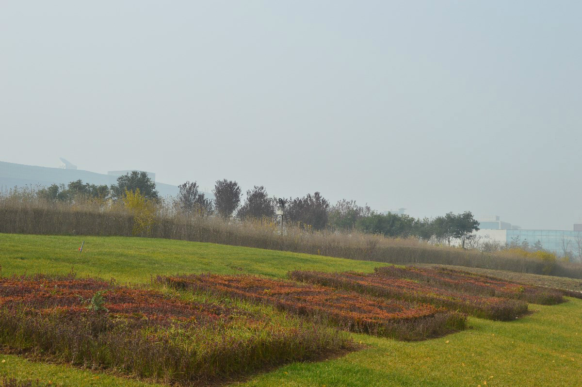 新寺遺址公園