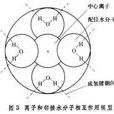 溶劑化作用