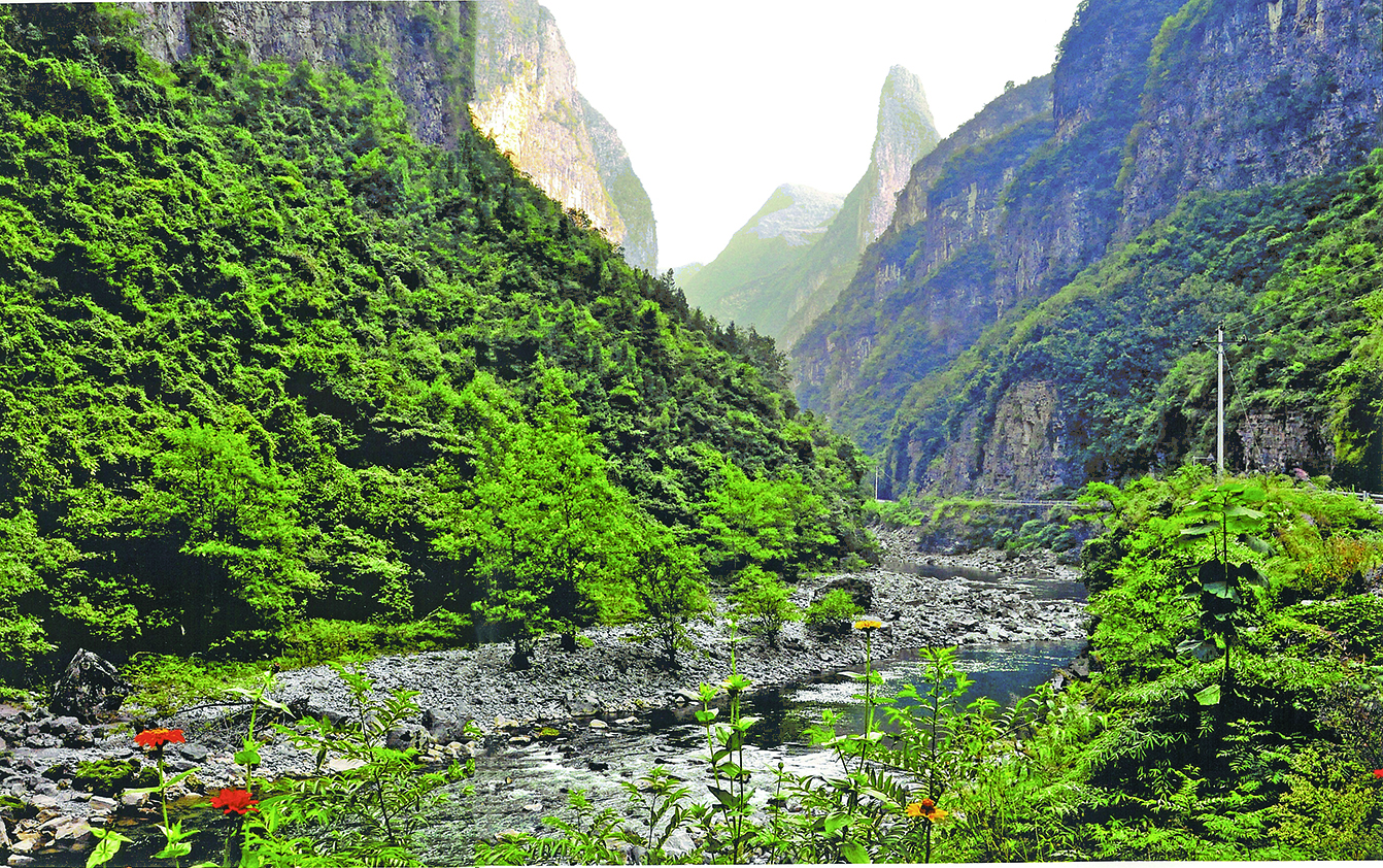 九天龍鳳景觀群