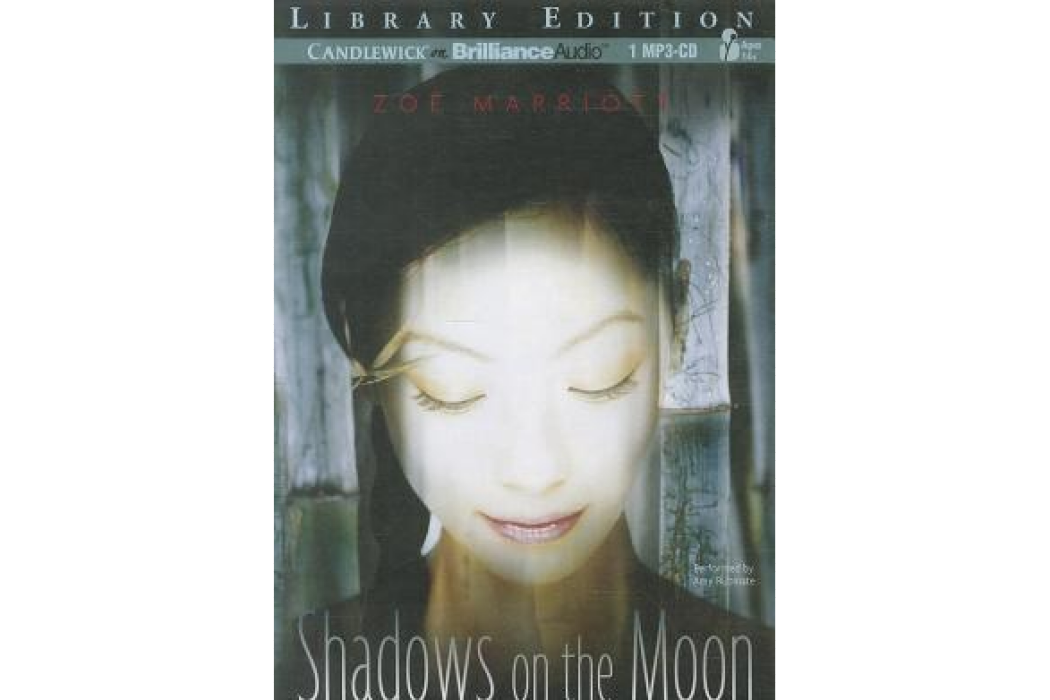 Shadows on the Moon