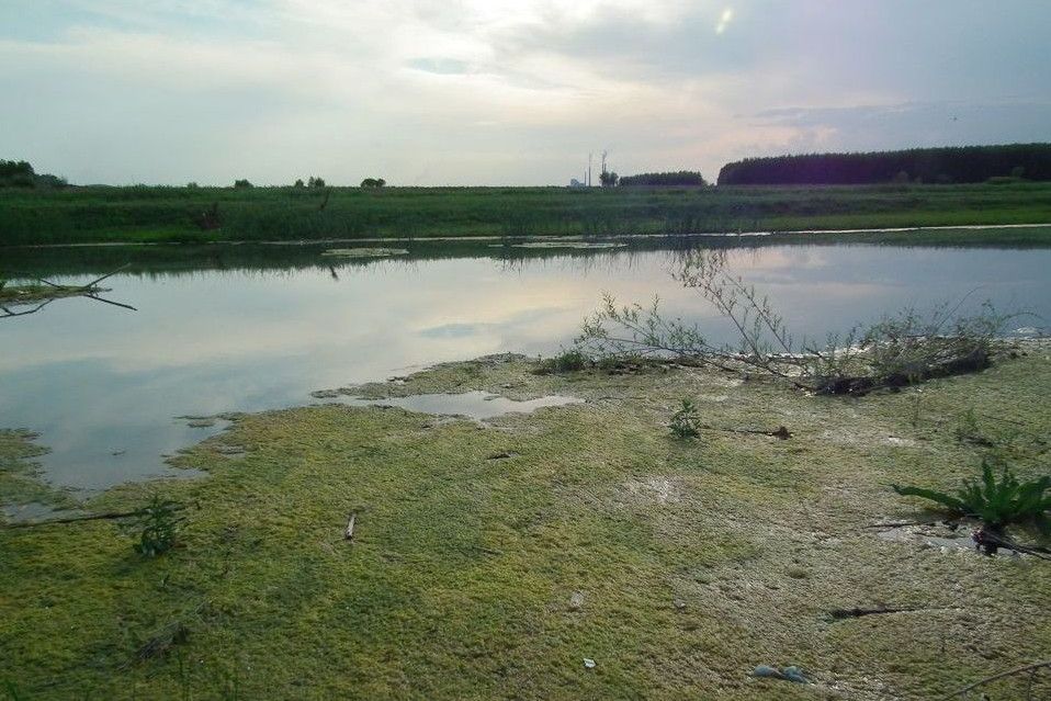 白音高洛村