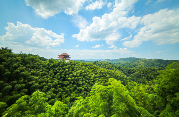 桃花江竹海旅遊區