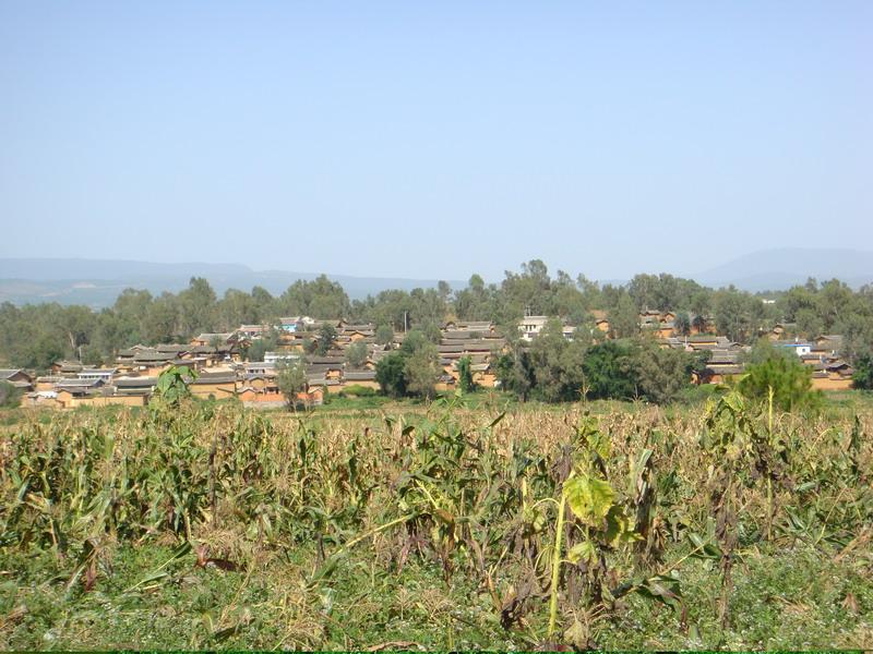 小蓮池村(雲南永仁縣蓮池鄉下轄村)