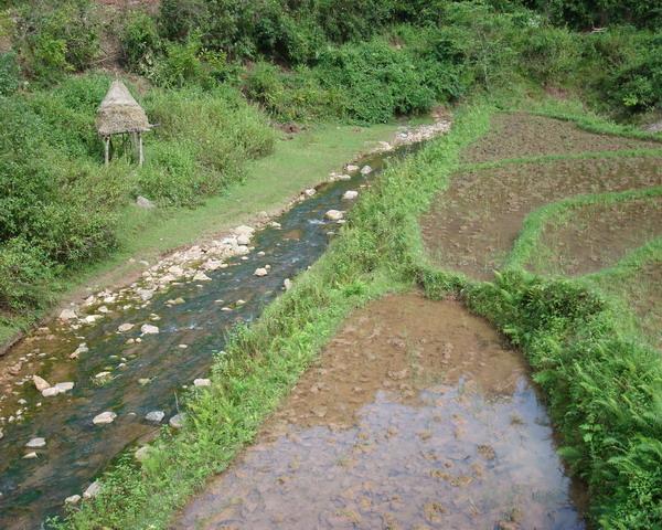 團山自然村