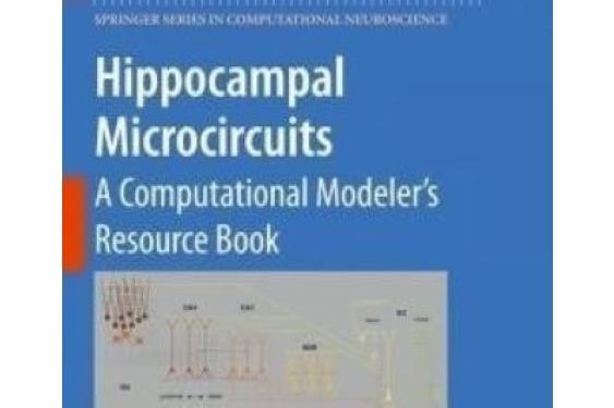 Hippocampal Microcircuits