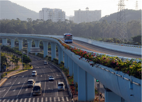 廈門快速公交(廈門快速公交BRT)