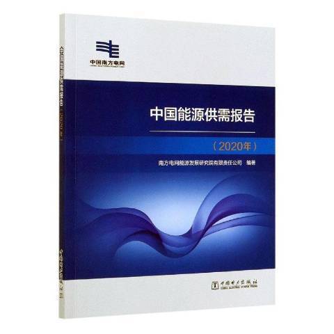 中國能源供需報告2020年