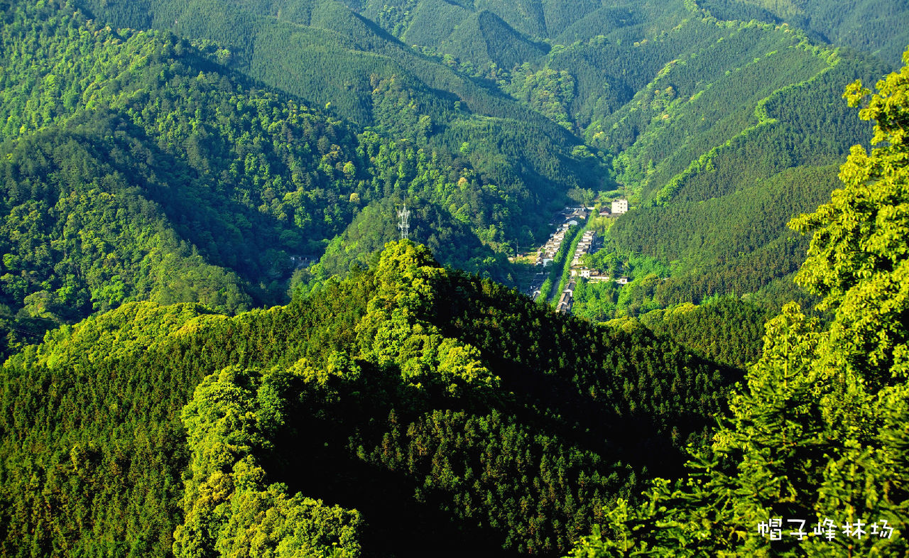 帽子峰林場