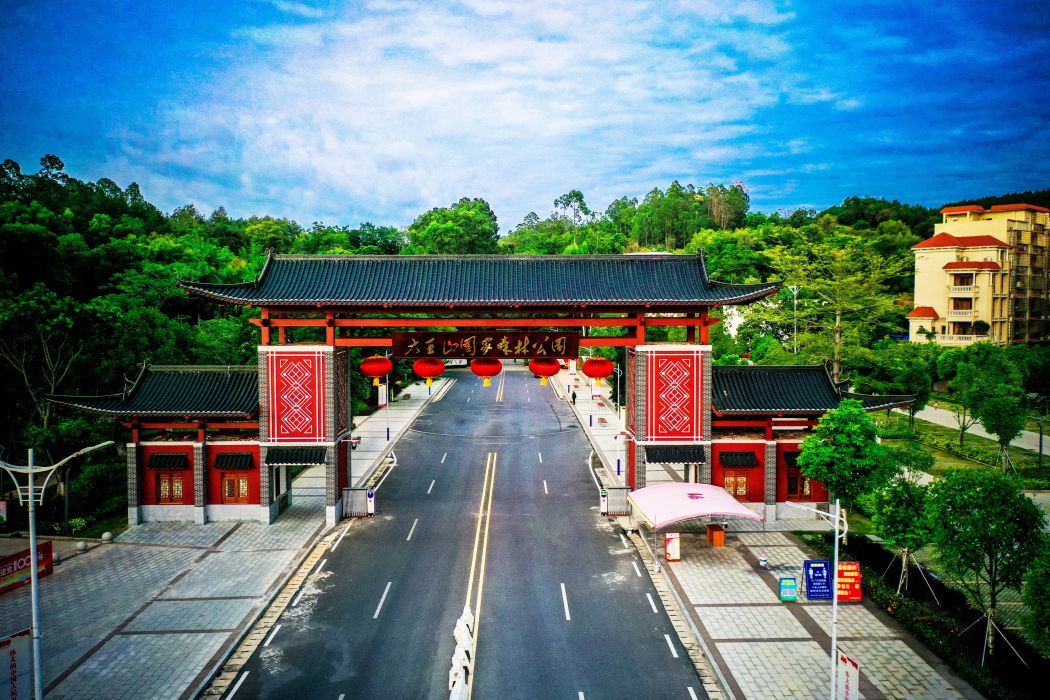 廣東大王山國家森林公園