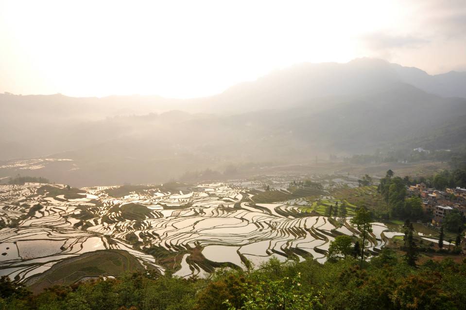 多依村(雲南省雲縣茂蘭鎮多依村)