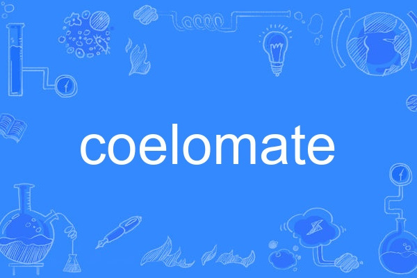 coelomate