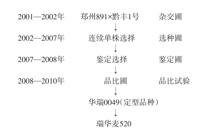 瑞華麥520