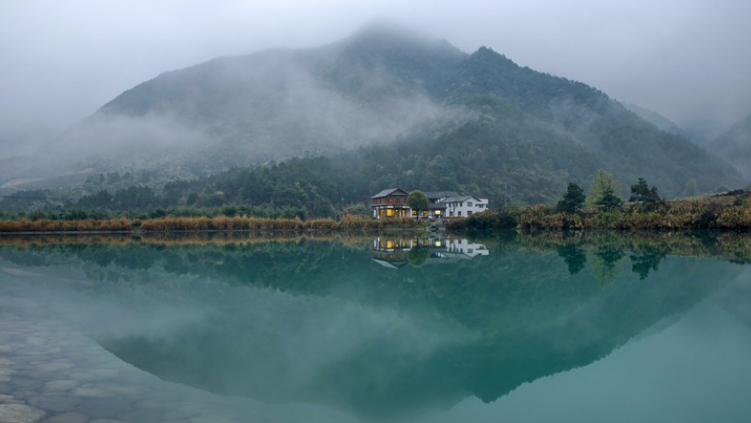 頤居美麗鄉村