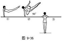 雙槓教學示意圖